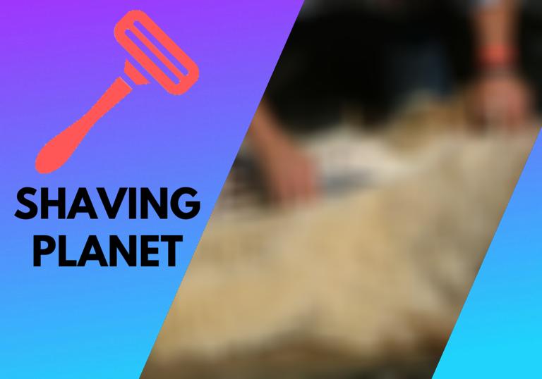 The Complete Beginner’s Guide to Shearing a Sheep (with video)