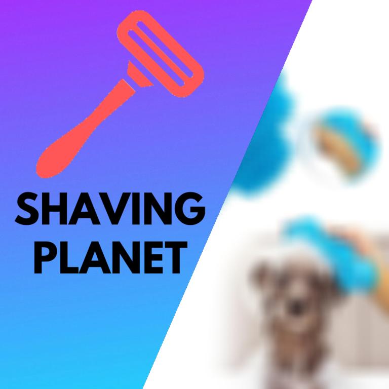 What to Consider When Choosing a Dog Grooming Brush