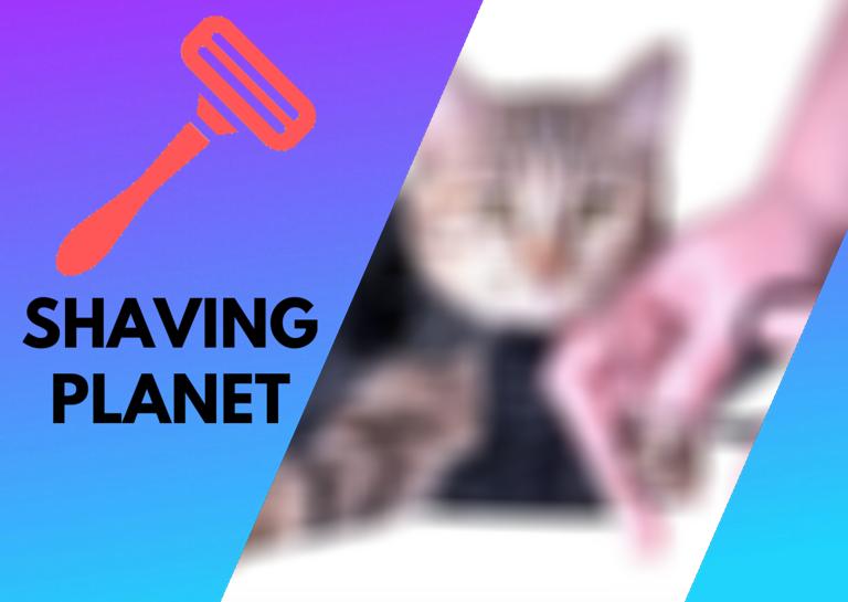What to Consider When Choosing a Cat Grooming Bag