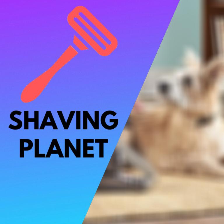What to Consider When Choosing a Dog Grooming Vacuum